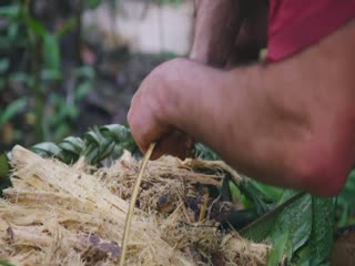 原始求生记：逃出亚马逊第一季影视海报