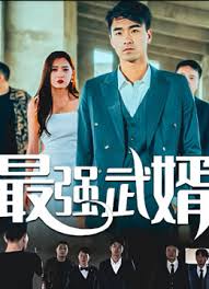 最强武婿影视海报